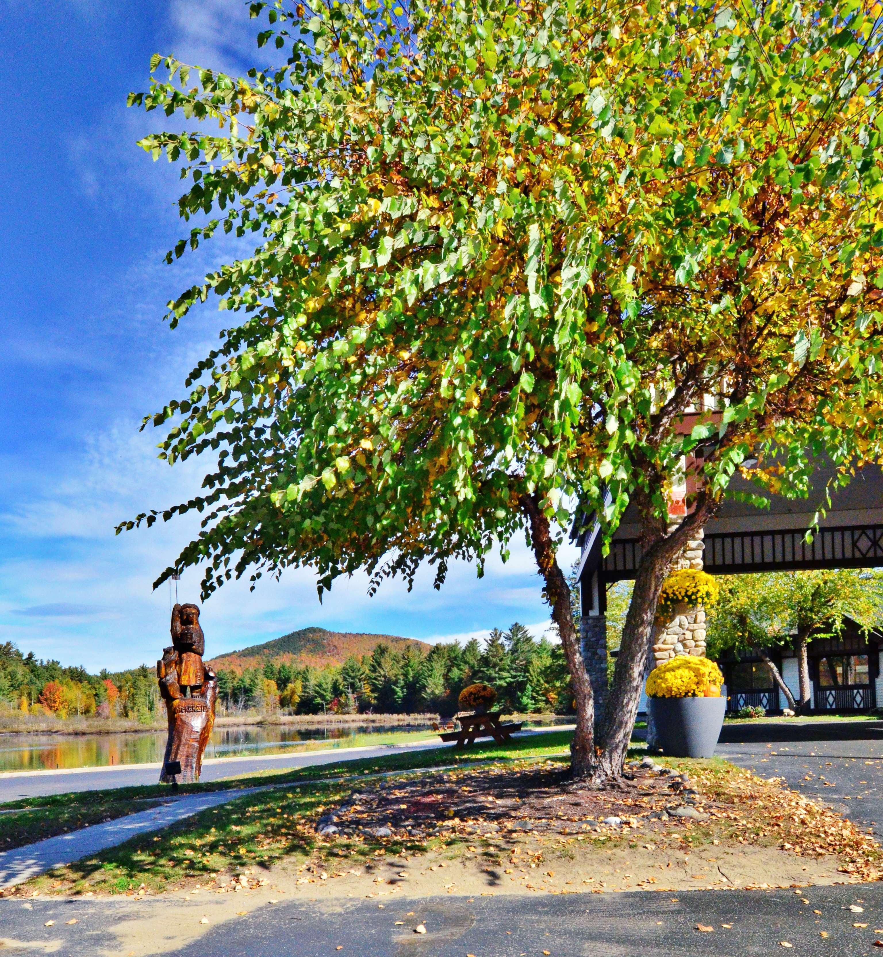 Best Western Saranac Lake Hotell Eksteriør bilde